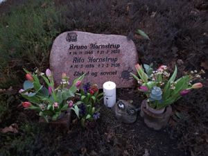 Image chosen by user