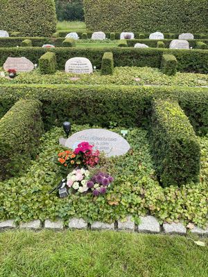 Image chosen by user