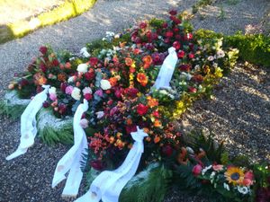 Image chosen by user