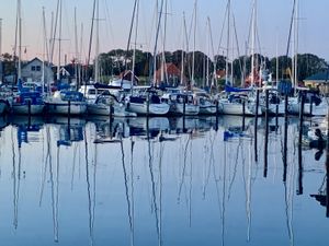 Image chosen by user