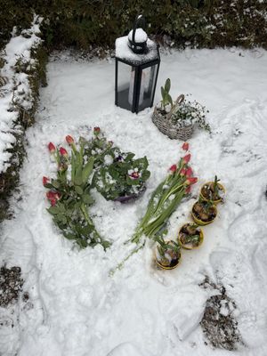 Image chosen by user