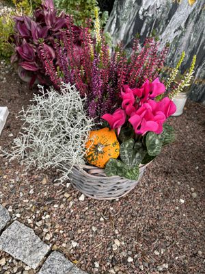 Image chosen by user