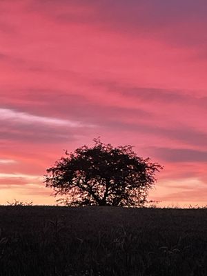 Image chosen by user