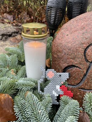 Image chosen by user