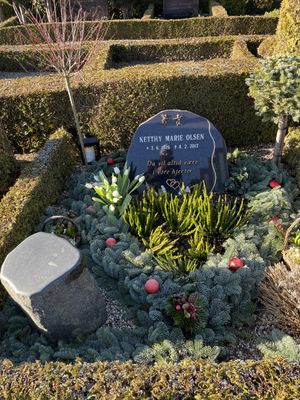 Image chosen by user