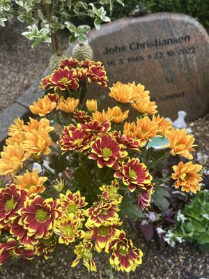 Image chosen by user