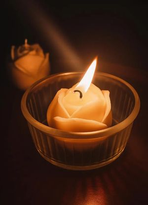 Image chosen by user