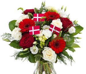 Image chosen by user