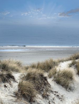 Image chosen by user