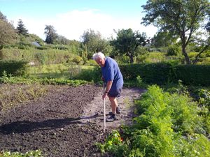 Image chosen by user