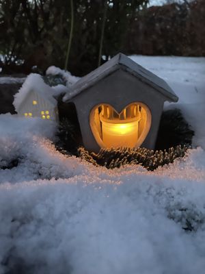 Image chosen by user