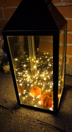 Image chosen by user