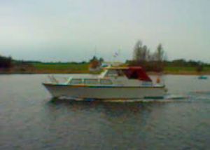 Image chosen by user