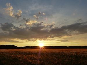 Vom User ausgewähltes Bild