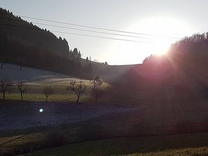 Vom User ausgewähltes Bild