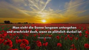 Vom User ausgewähltes Bild