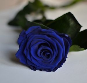 Image chosen by user