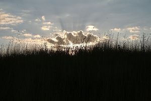 Vom User ausgewähltes Bild