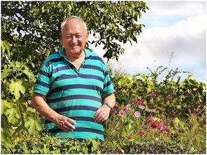 Vom User ausgewähltes Bild