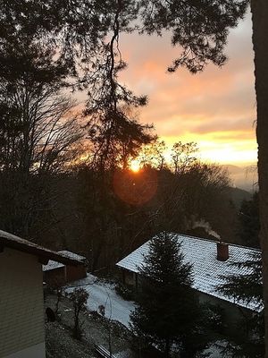 Vom User ausgewähltes Bild