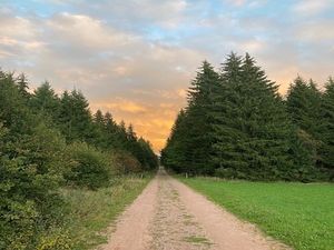 Vom User ausgewähltes Bild