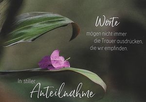 Vom User ausgewähltes Bild