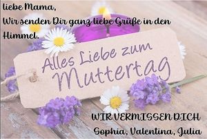 Vom User ausgewähltes Bild