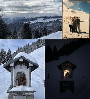 Vom User ausgewähltes Bild