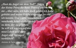 Vom User ausgewähltes Bild