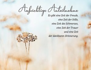 Vom User ausgewähltes Bild
