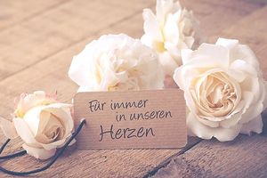 Vom User ausgewähltes Bild