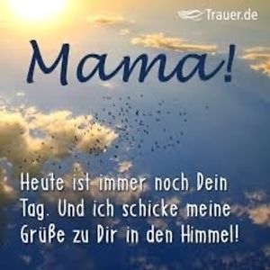 Vom User ausgewähltes Bild