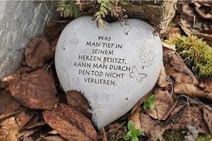 Vom User ausgewähltes Bild