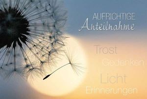 Vom User ausgewähltes Bild