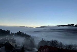 Vom User ausgewähltes Bild