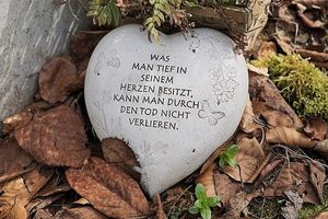 Vom User ausgewähltes Bild