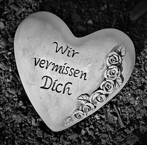 Vom User ausgewähltes Bild