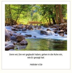 Vom User ausgewähltes Bild
