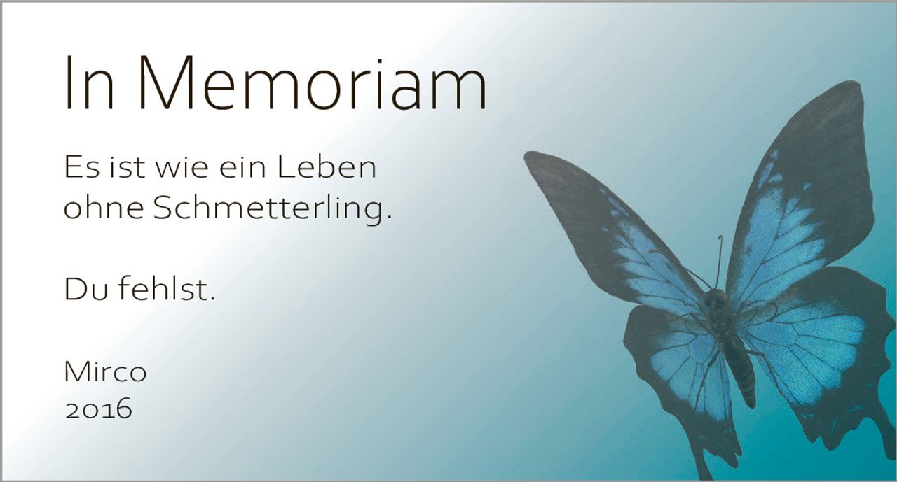 <p><strong>In Memoriam</strong></p><p>Es ist wie ein Leben ohne Schmetterling.</p><p>Du fehlst.</p><p>Mirco<br>2016</p>