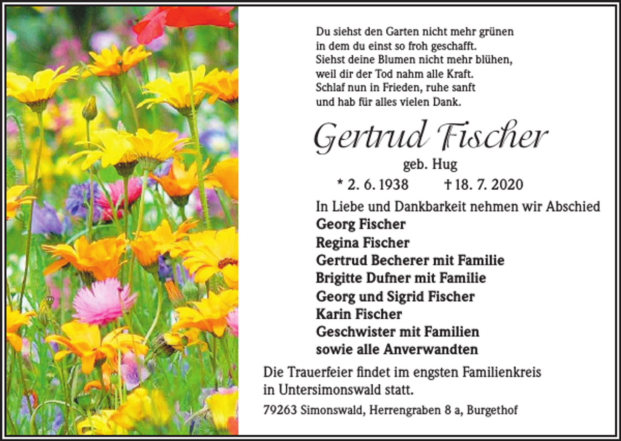 <p>Du siehst den Garten nicht mehr grünen<br />in dem du einst so froh geschafft.<br />Siehst deine Blumen nicht mehr blühen,<br />weil dir der Tod nahm alle Kraft.<br />Schlaf nun in Frieden, ruhe sanft<br />und hab für alles vielen Dank.</p><p>Gertrud Fischer</p><p>geb. Hug<br />* 2. 6. 1938<br />† 18. 7. 2020<br />In Liebe und Dankbarkeit nehmen wir Abschied<br />Georg Fischer<br />Regina Fischer<br />Gertrud Becherer mit Familie<br />Brigitte Dufner mit Familie<br />Georg und Sigrid Fischer<br />Karin Fischer<br />Geschwister mit Familien<br />sowie alle Anverwandten<br />Die Trauerfeier findet im engsten Familienkreis<br />in Untersimonswald statt.<br />79263 Simonswald, Herrengraben 8 a, Burgethof</p>