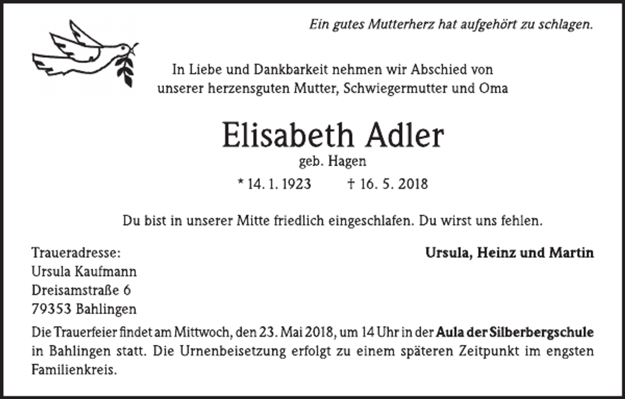 <p>---</p>