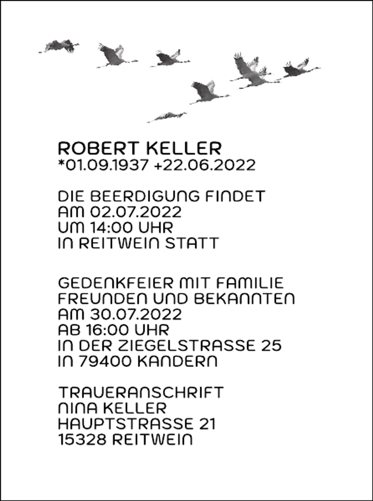 <p>---</p>