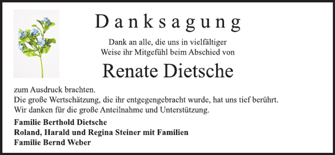 <p>---</p>