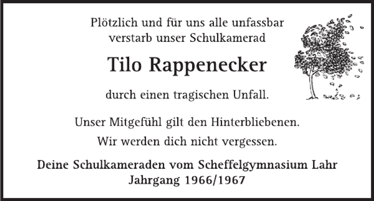 <p>---</p>