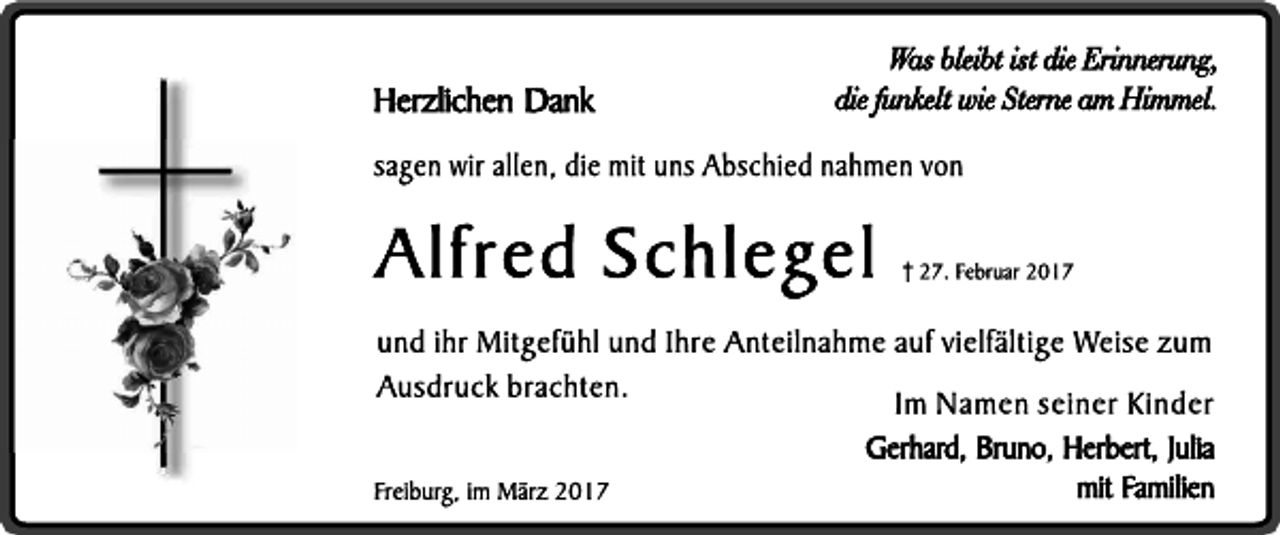 <p>---</p>