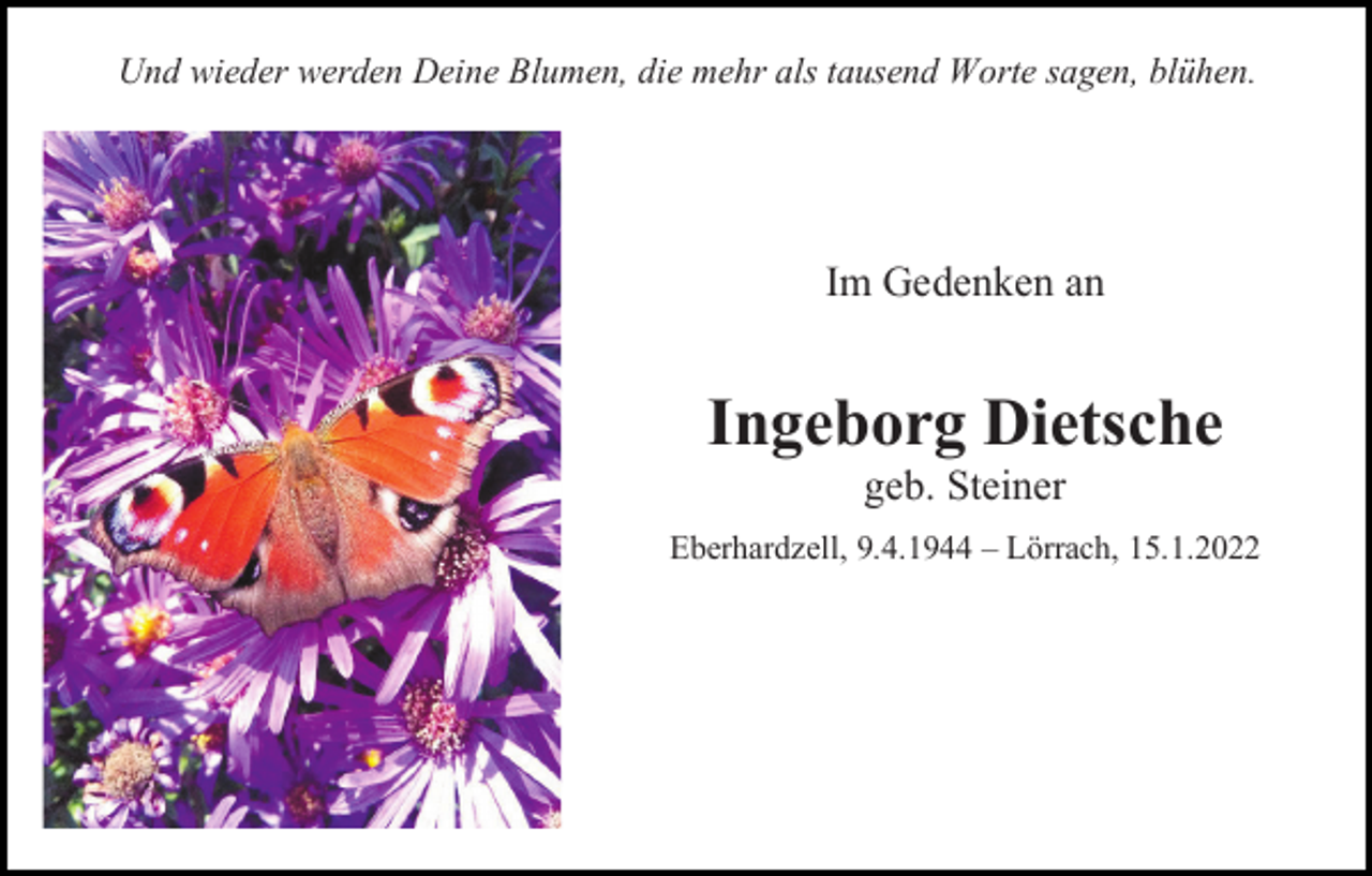 <p>Und wieder werden Deine Blumen, die mehr als tausend Worte sagen, blühen.</p><p>Im Gedenken an</p><p>Ingeborg Dietsche<br />geb. Steiner<br />Eberhardzell, 9.4.1944 – Lörrach, 15.1.2022</p>