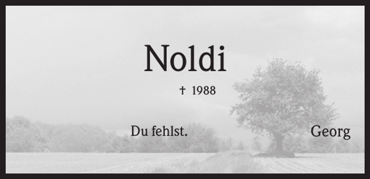 <p>Noldi<br />† 1988</p><p>Du fehlst.</p><p>Georg</p>