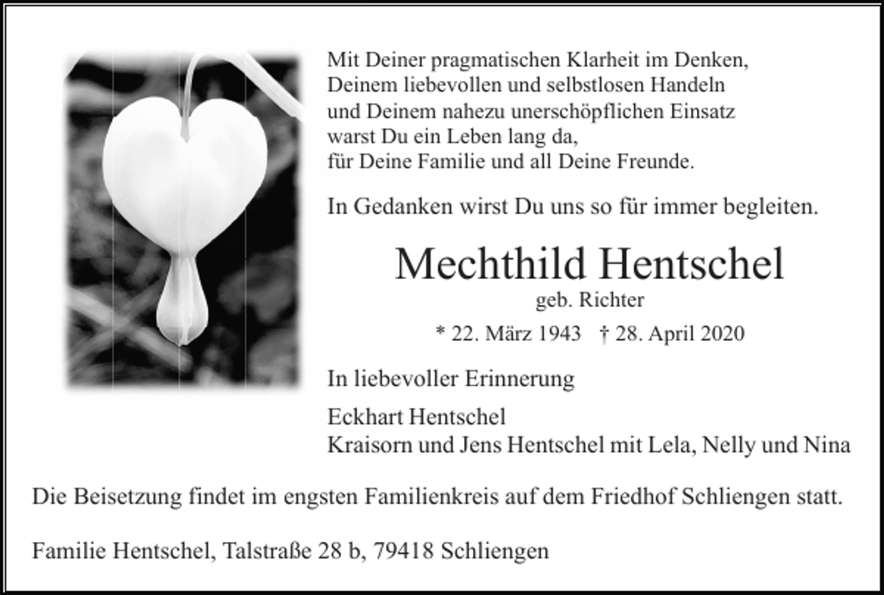 <p>---</p>