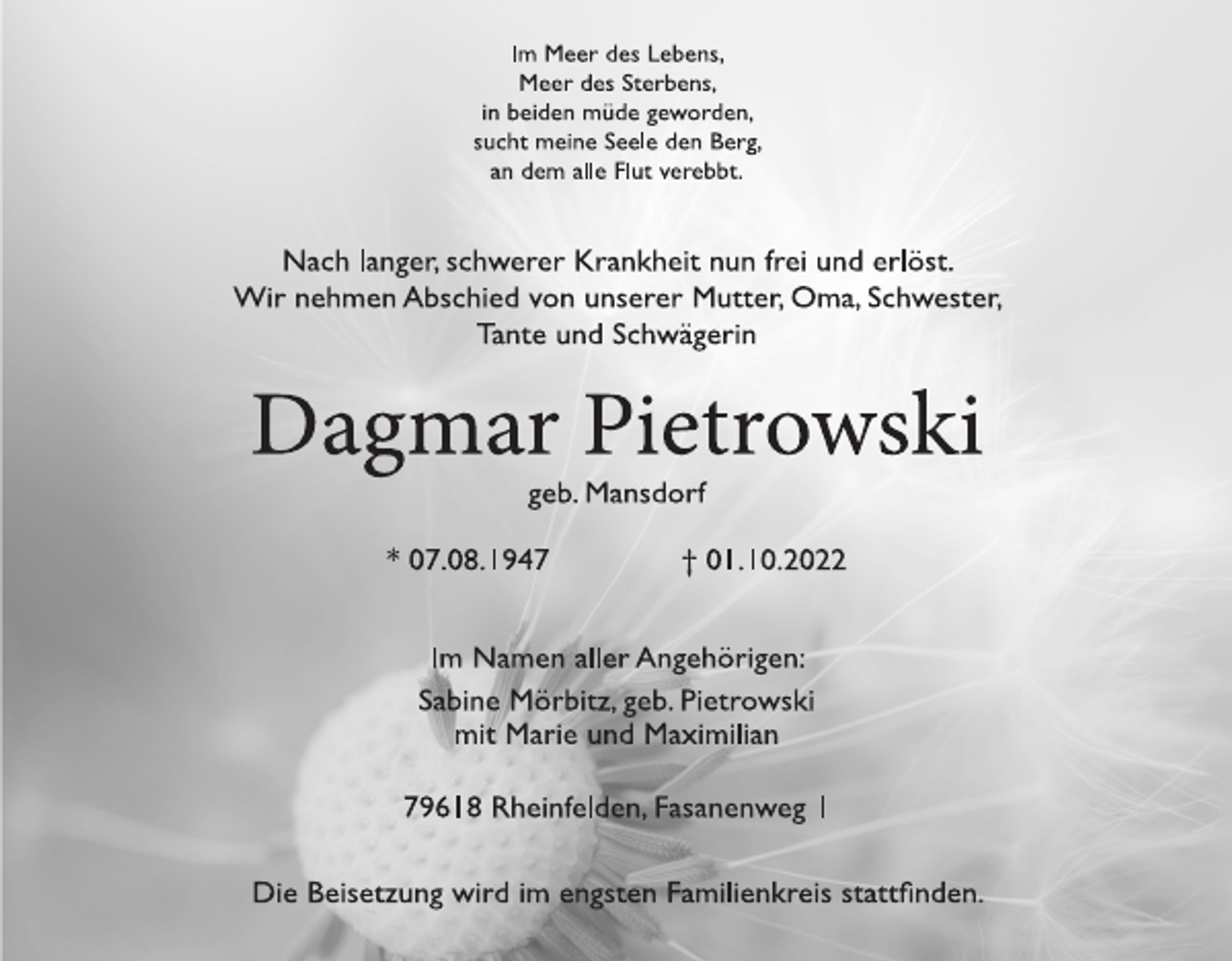 <p>---</p>