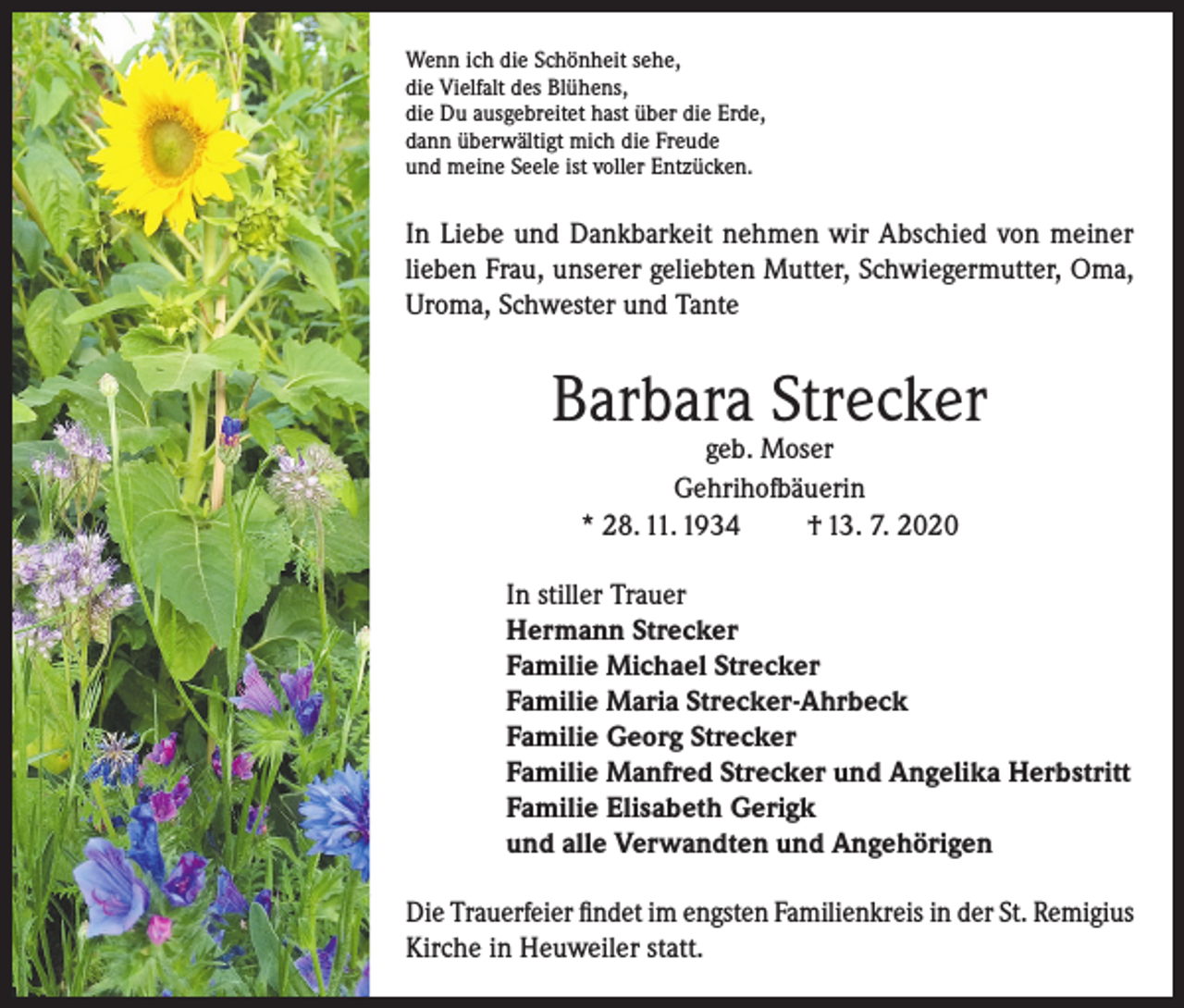 <p>Wenn ich die Schönheit sehe,<br />die Vielfalt des Blühens,<br />die Du ausgebreitet hast über die Erde,<br />dann überwältigt mich die Freude<br />und meine Seele ist voller Entzücken.</p><p>In Liebe und Dankbarkeit nehmen wir Abschied von meiner<br />lieben Frau, unserer geliebten Mutter, Schwiegermutter, Oma,<br />Uroma, Schwester und Tante</p><p>Barbara Strecker<br />geb. Moser<br />Gehrihofbäuerin<br />* 28. 11. 1934<br />† 13. 7. 2020</p><p>In stiller Trauer<br />Hermann Strecker<br />Familie Michael Strecker<br />Familie Maria Strecker-Ahrbeck<br />Familie Georg Strecker<br />Familie Manfred Strecker und Angelika Herbstritt<br />Familie Elisabeth Gerigk<br />und alle Verwandten und Angehörigen<br />Die Trauerfeier findet im engsten Familienkreis in der St. Remigius<br />Kirche in Heuweiler statt.</p>